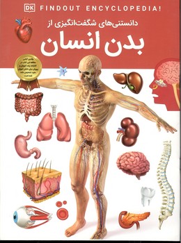 دانستنی های شگفت انگیزی از بدن انسان