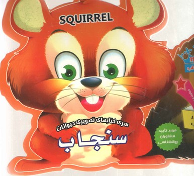 سنجاب